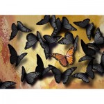Nova-Puzzle-41048 Papillons