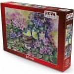 Nova-Puzzle-41095 Nid d'Oiseau dans les Violettes