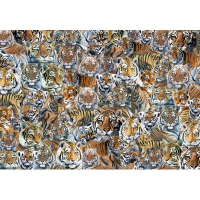Otter-House-Puzzle-72925 Impossible Puzzle - Tigers