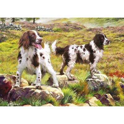 Otter-House-Puzzle-75804 Spaniel on Moor