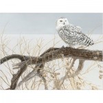 Cobble-Hill-45050 Pièces XXL - Fallen Willow Snowy Owl