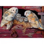 Cobble-Hill-80052 Barn Owls