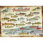 Cobble-Hill-80094 Freshwater Fish of North America