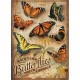 Pièces XXL - Backyard Butterflies
