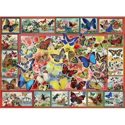 Perre-Anatolian-1094 Lots Of Butterflies