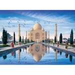 Perre-Anatolian-1120 Taj Mahal