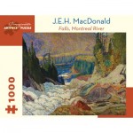 Pomegranate-AA1012 J.E.H. MacDonald - Falls, Montreal River, 1920