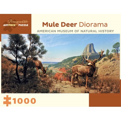 Pomegranate-AA941 Mule Deer Diorama - American Museum of Natural History