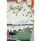 Hiroshige : Pommiers en fleurs