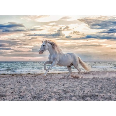 Ravensburger-00222 Cheval sur la Plage