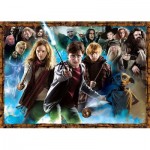 Ravensburger-00463 Harry Potter (TM)