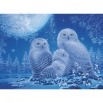 Ravensburger-00479 Puzzle Glow in the Dark - Chouettes au Clair de Lune