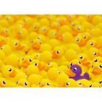 Ravensburger-00587 Canards