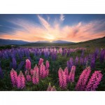 Ravensburger-00688 Nature Edition - Lupins