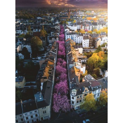 Ravensburger-00730 Bonn en Fleurs