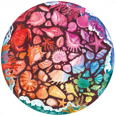 Ravensburger-00823 Circle of Colors - Coquillage