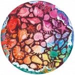 Ravensburger-00823 Circle of Colors - Coquillage