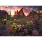 Ravensburger-01380 Cactus Et Épines