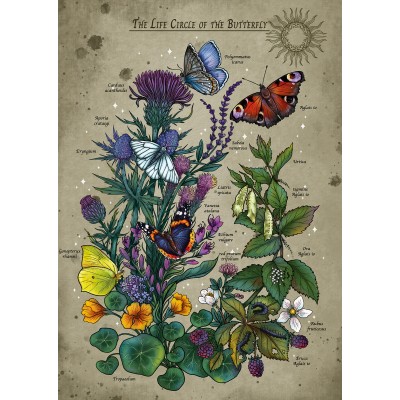 Ravensburger-01435 Le Cercle de Vie Du Papillon