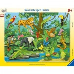 Ravensburger-05140 Puzzle Cadre - Animaux de la Forêt Tropicale