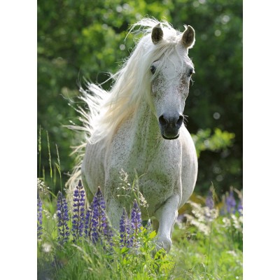 Ravensburger-12927 Pièces XXL - White Horse