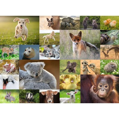 Ravensburger-13353 Pièces XXL - Bébés animaux