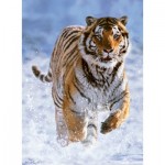 Ravensburger-14475 Tigre dans la Neige