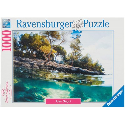 Ravensburger-16198 Point of View
