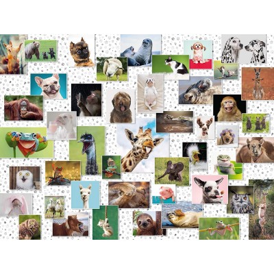 Ravensburger-16711 Funny Animals Collage