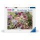 Magnifique Fleur d'Amour
