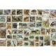 Timbres Animaliers