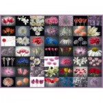 Schmidt-Spiele-58297 Collage Fleurs