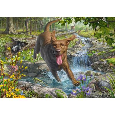 Schmidt-Spiele-58559 Mark Fredrickson - Retriever au Printemps
