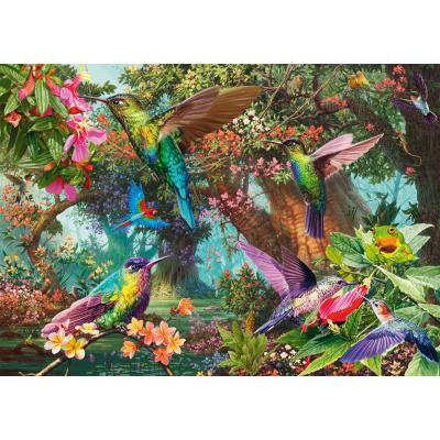 Schmidt-Spiele-58869 Jeu de Couleurs du Colibri