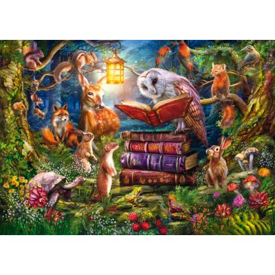 Schmidt-Spiele-59779 Contes Sylvestres du Soir