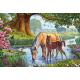 Chevaux dans le Ruisseau