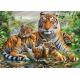 Famille de Tigres