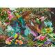 Jeu de Couleurs du Colibri