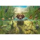 Labrador Chocolat à la Baignade