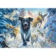 Labrador Noir dans la Neige