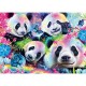 Pandas fluo