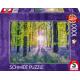 Tapis de Campanules dans les Bois