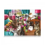 Star-Puzzle-0356 Maison de Chat