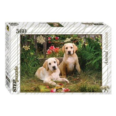 Step-Puzzle-78076 Labradors