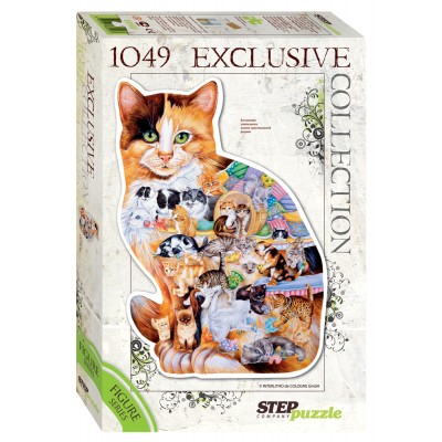 Step-Puzzle-83502 Chat