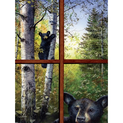 Sunsout-67386 Pièces XXL - Le Regard de l'Ours