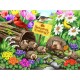 Nancy Wernersbach - Hedgehog Crossing