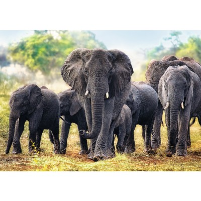 Trefl-10442 Éléphants africains