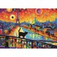 Chat À Paris