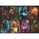 Magic : The Gathering